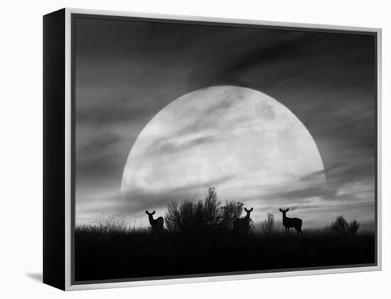 Moonlight Silhouette, Farmington Hills, Michigan '12-Monte Nagler-Framed Premier Image Canvas