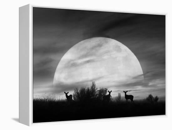 Moonlight Silhouette, Farmington Hills, Michigan '12-Monte Nagler-Framed Premier Image Canvas