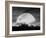 Moonlight Silhouette, Farmington Hills, Michigan '12-Monte Nagler-Framed Photographic Print