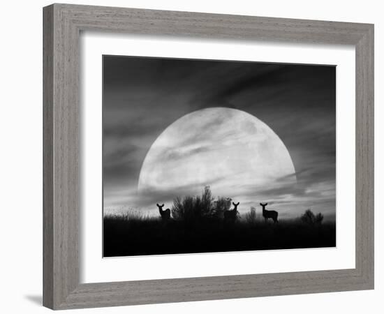 Moonlight Silhouette, Farmington Hills, Michigan '12-Monte Nagler-Framed Photographic Print