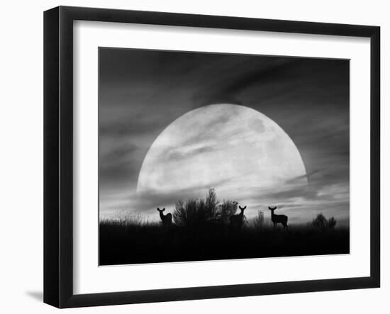 Moonlight Silhouette, Farmington Hills, Michigan '12-Monte Nagler-Framed Photographic Print