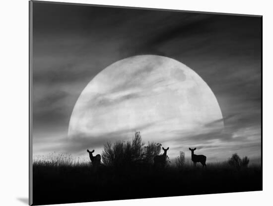 Moonlight Silhouette, Farmington Hills, Michigan '12-Monte Nagler-Mounted Photographic Print