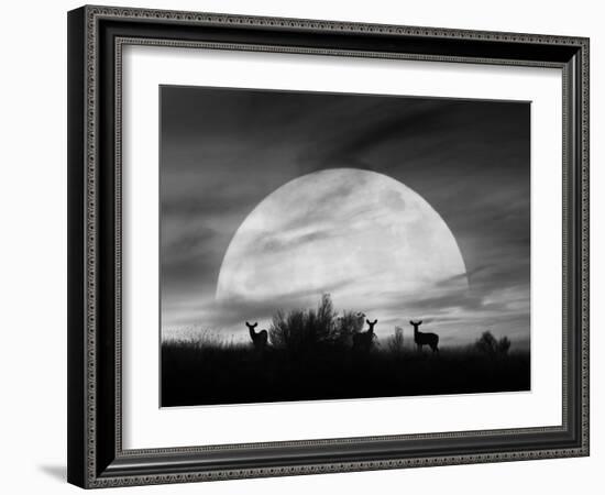 Moonlight Silhouette, Farmington Hills, Michigan '12-Monte Nagler-Framed Photographic Print