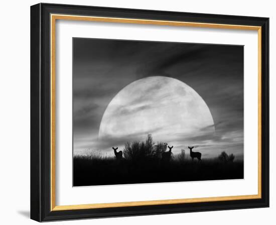 Moonlight Silhouette, Farmington Hills, Michigan '12-Monte Nagler-Framed Photographic Print