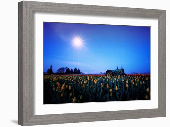 Moonlight Tractor in Spring Tulip Farm, Central Oregon-Vincent James-Framed Photographic Print