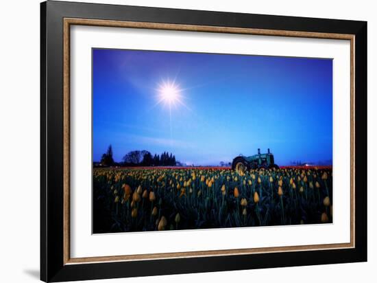 Moonlight Tractor in Spring Tulip Farm, Central Oregon-Vincent James-Framed Photographic Print