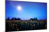 Moonlight Tractor in Spring Tulip Farm, Central Oregon-Vincent James-Mounted Photographic Print