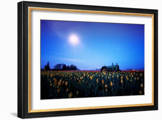 Moonlight Tractor in Spring Tulip Farm, Central Oregon-Vincent James-Framed Photographic Print