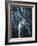 Moonlight-R.W. Hedge-Framed Giclee Print