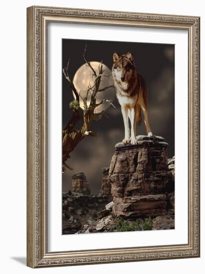 Moonlighter-Gordon Semmens-Framed Photographic Print