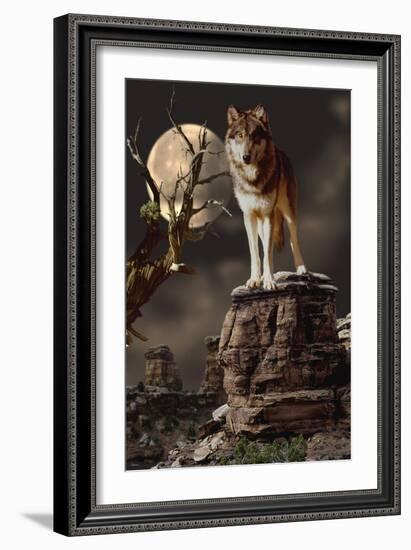 Moonlighter-Gordon Semmens-Framed Photographic Print