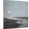 Moonlit Beach-Ily Szilagyi-Mounted Art Print