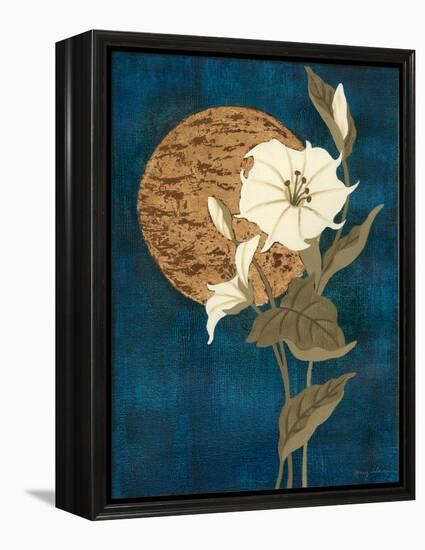 Moonlit Blossoms I-Nancy Slocum-Framed Stretched Canvas