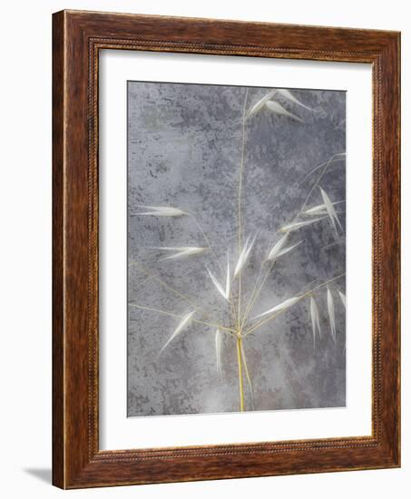 Moonlit Dream I-Eva Bane-Framed Photographic Print