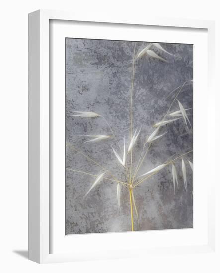 Moonlit Dream I-Eva Bane-Framed Photographic Print