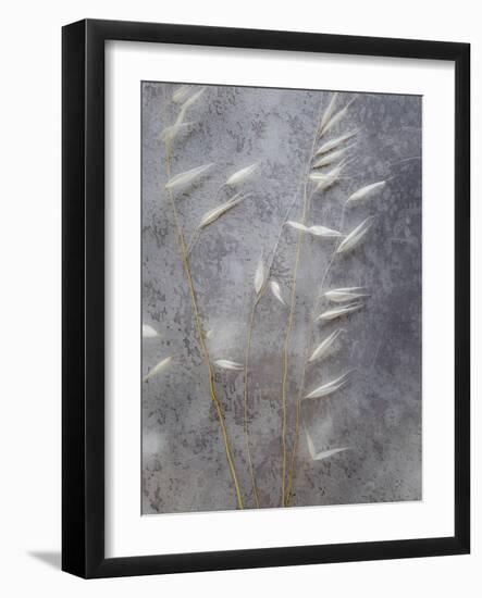 Moonlit Dream II-Eva Bane-Framed Photographic Print