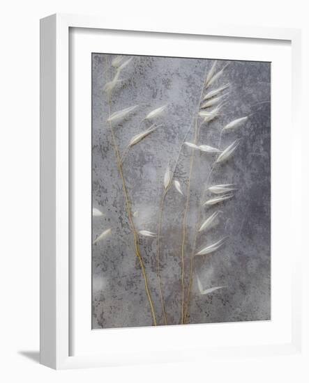 Moonlit Dream II-Eva Bane-Framed Photographic Print