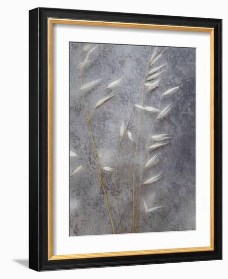 Moonlit Dream II-Eva Bane-Framed Photographic Print