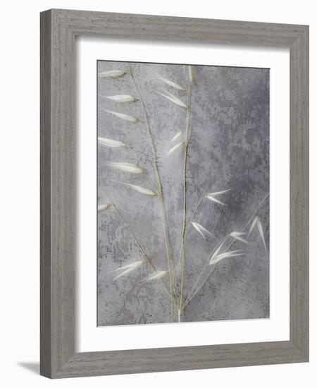 Moonlit Dream III-Eva Bane-Framed Photographic Print