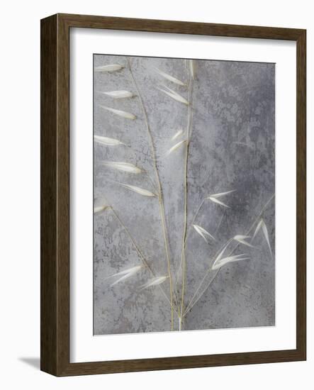 Moonlit Dream III-Eva Bane-Framed Photographic Print