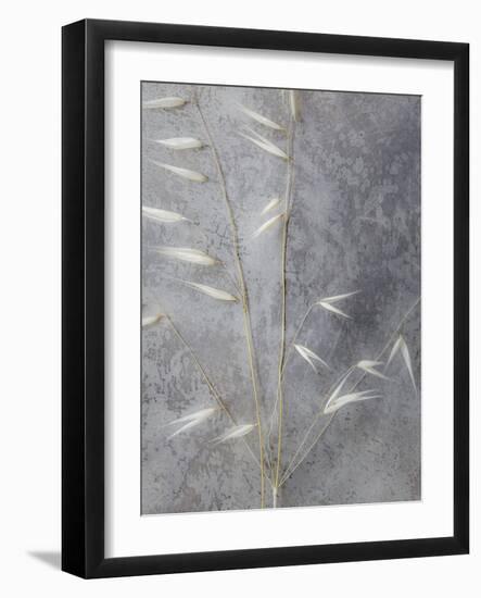 Moonlit Dream III-Eva Bane-Framed Photographic Print