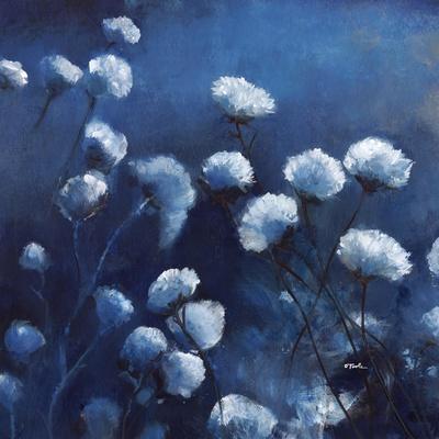 'Moonlit Flowers' Giclee Print Tim O'toole