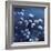 Moonlit Flowers-Tim O'toole-Framed Giclee Print