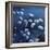 Moonlit Flowers-Tim O'toole-Framed Giclee Print