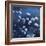 Moonlit Flowers-Tim O'toole-Framed Giclee Print