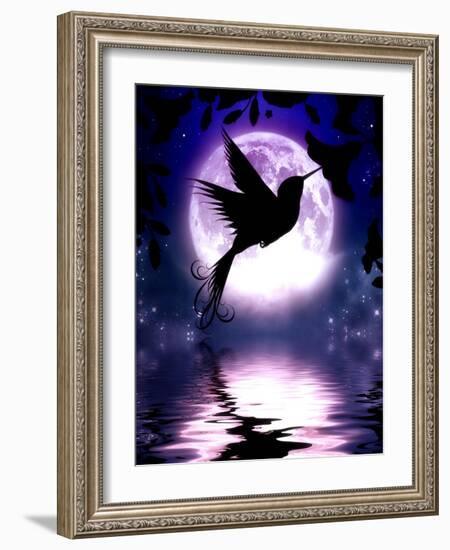 Moonlit Hummingbird-Julie Fain-Framed Art Print