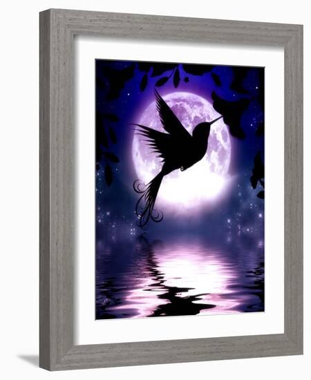 Moonlit Hummingbird-Julie Fain-Framed Art Print