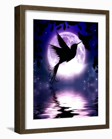 Moonlit Hummingbird-Julie Fain-Framed Art Print