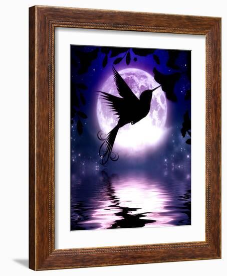 Moonlit Hummingbird-Julie Fain-Framed Art Print