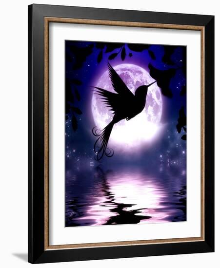 Moonlit Hummingbird-Julie Fain-Framed Art Print