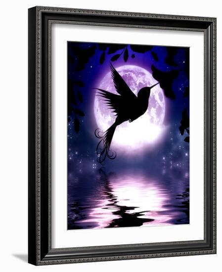 Moonlit Hummingbird-Julie Fain-Framed Art Print