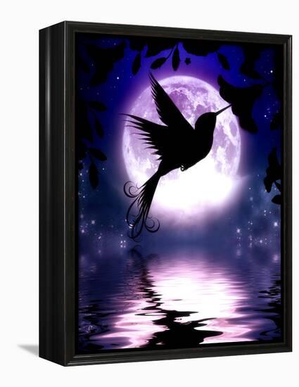 Moonlit Hummingbird-Julie Fain-Framed Stretched Canvas