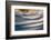 Moonlit-Ursula Abresch-Framed Photographic Print