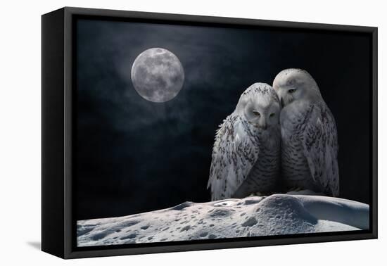 Moonowls-Marcel Egger-Framed Premier Image Canvas