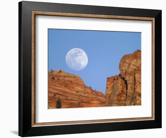 Moonrise at Zion National Park-Scott T. Smith-Framed Photographic Print