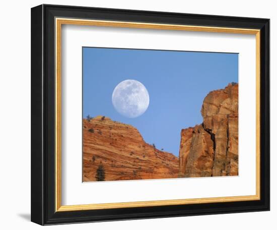 Moonrise at Zion National Park-Scott T. Smith-Framed Photographic Print