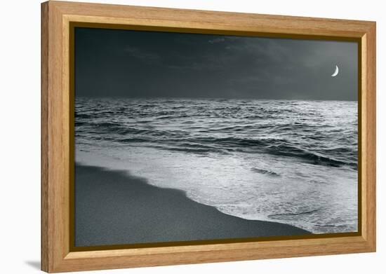 Moonrise Beach Black and White-Sue Schlabach-Framed Stretched Canvas