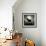 Moonrise Black Dog-Ryan Fowler-Framed Premium Giclee Print displayed on a wall