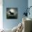 Moonrise Black Dog-Ryan Fowler-Giclee Print displayed on a wall