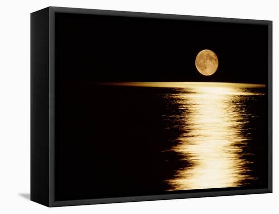 Moonrise, Haro Strait Vancouver-David Nunuk-Framed Premier Image Canvas