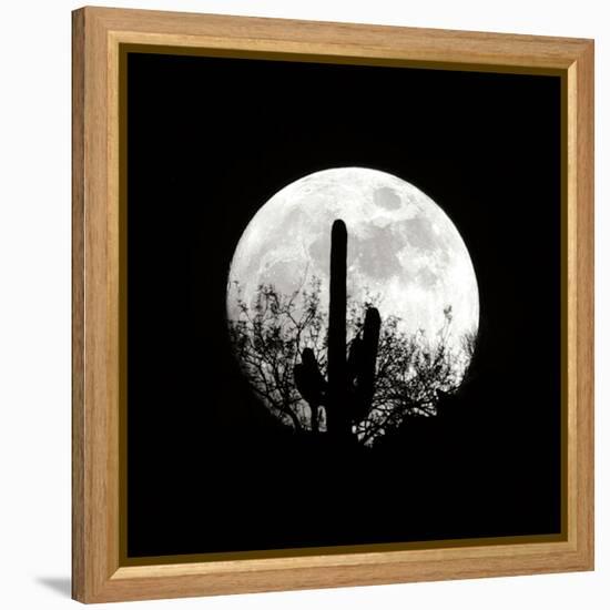 Moonrise in May II-Douglas Taylor-Framed Premier Image Canvas