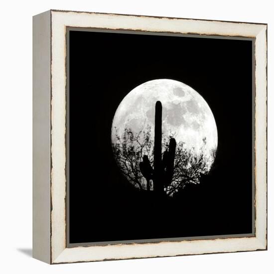 Moonrise in May II-Douglas Taylor-Framed Premier Image Canvas