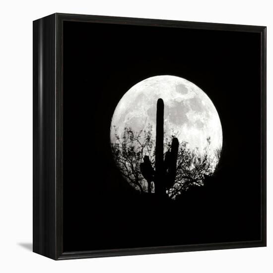 Moonrise in May II-Douglas Taylor-Framed Premier Image Canvas