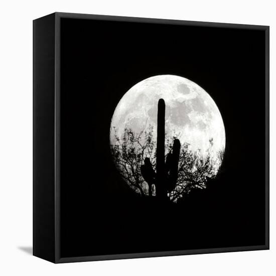 Moonrise in May II-Douglas Taylor-Framed Premier Image Canvas