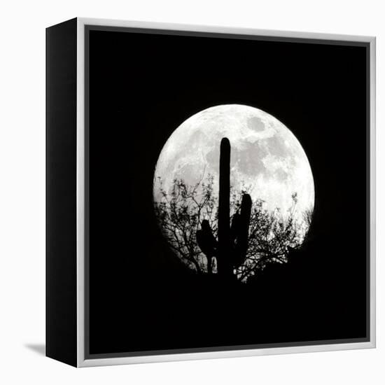 Moonrise in May II-Douglas Taylor-Framed Premier Image Canvas