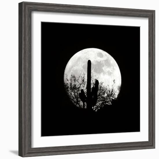 Moonrise in May II-Douglas Taylor-Framed Photographic Print